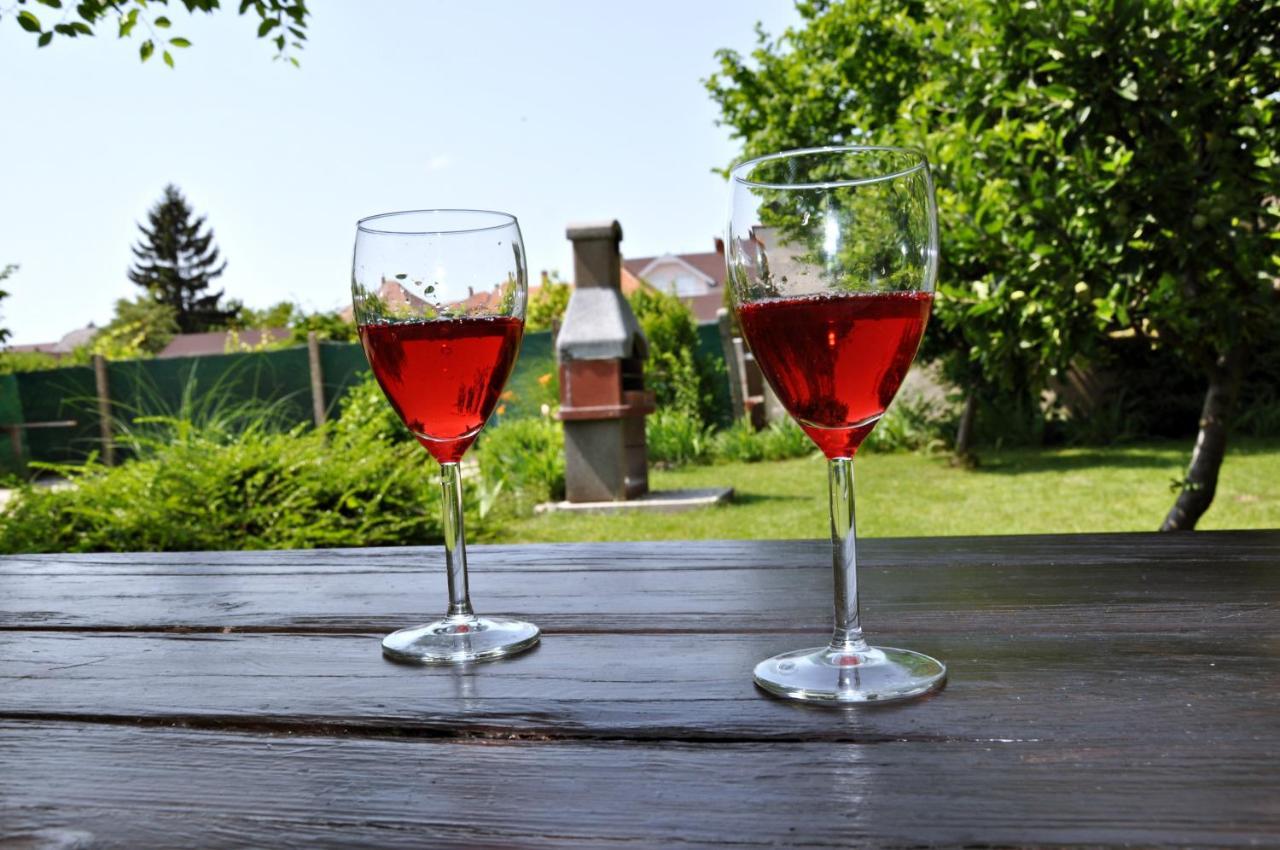 Apartmany Forro Rybarska Veľký Meder Buitenkant foto